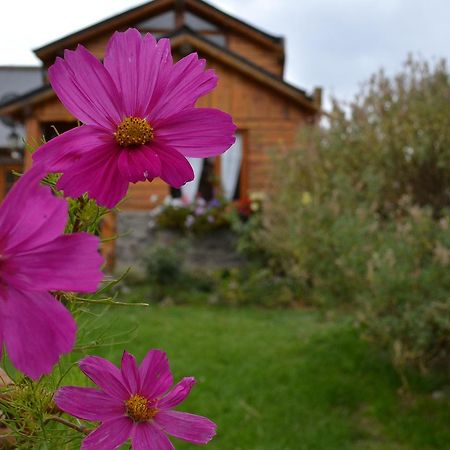 Cabanas Natanael Trevelín エクステリア 写真